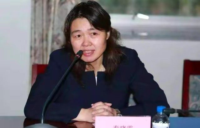 欧美少妇视频