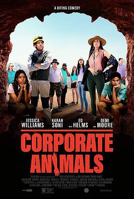 一区二区在线观看高清