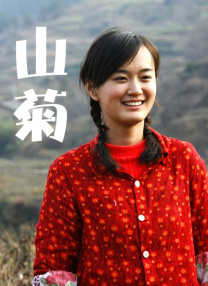 成人午夜精品久久久久久久小说