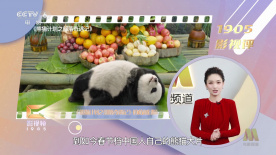 欧美xart系列高清