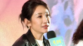 精品国产一区二区三区在线观看