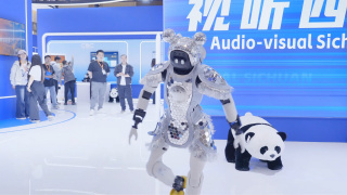 妻子的兼职